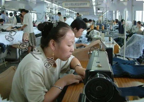 昌邑老照片 服装厂的时光记忆